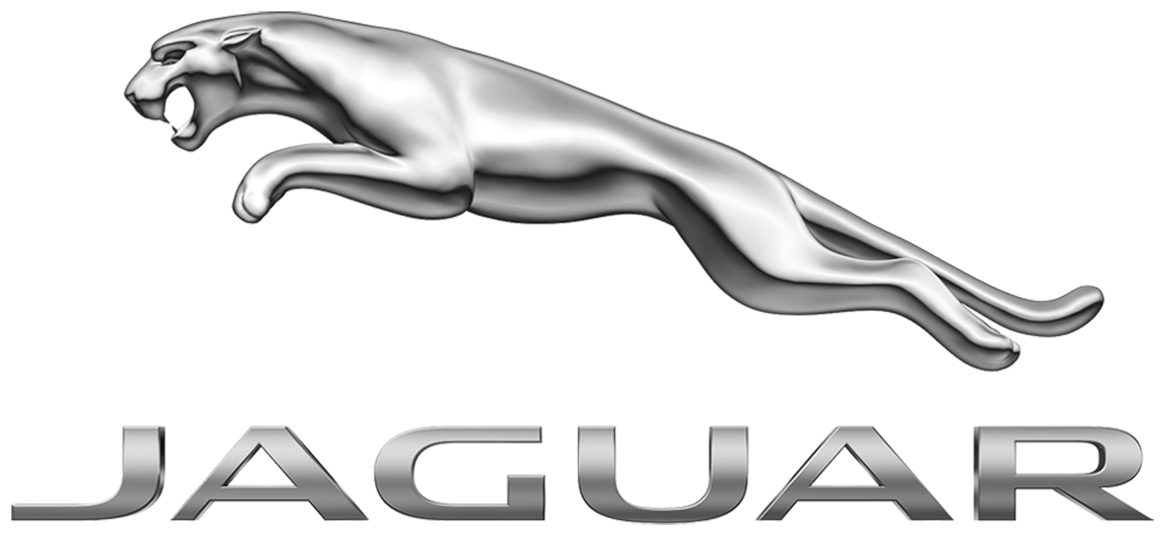 Jaguar özel servis